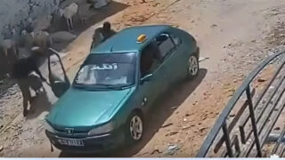 Criminalité pastorale : Traqué par les caméras de Touba, un gang de voleurs de bétail s&rsquo;effondre à Ndamatou
