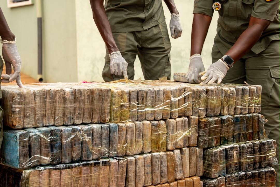 970 kg de cocaïne saisis à Koumpentoum : un émissaire du réseau tombe en voulant « vérifier » la cargaison