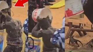 Lutte : une polémique autour d&rsquo;un bain mystique de Reug Reug après sa victoire sur Boy Niang 2