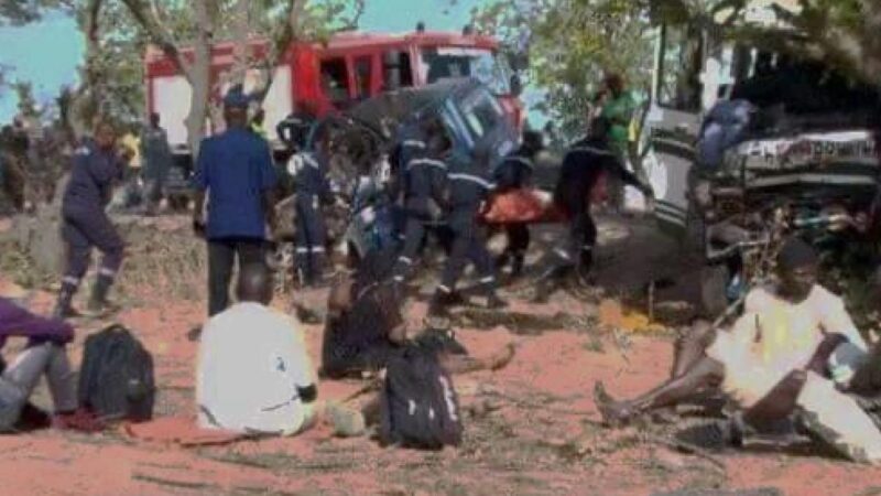 Grave accident sur la RN6 : un minicar percute un palmier à Adéane