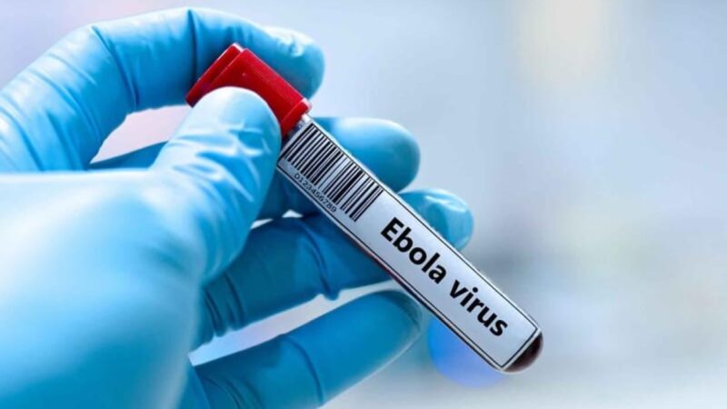 Santé :Un premier cas d’Ebola détecté en France chez un médecin de retour de RDC