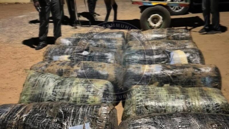 Joal : La gendarmerie intercepte 360 kg de chanvre indien en pleine nuit