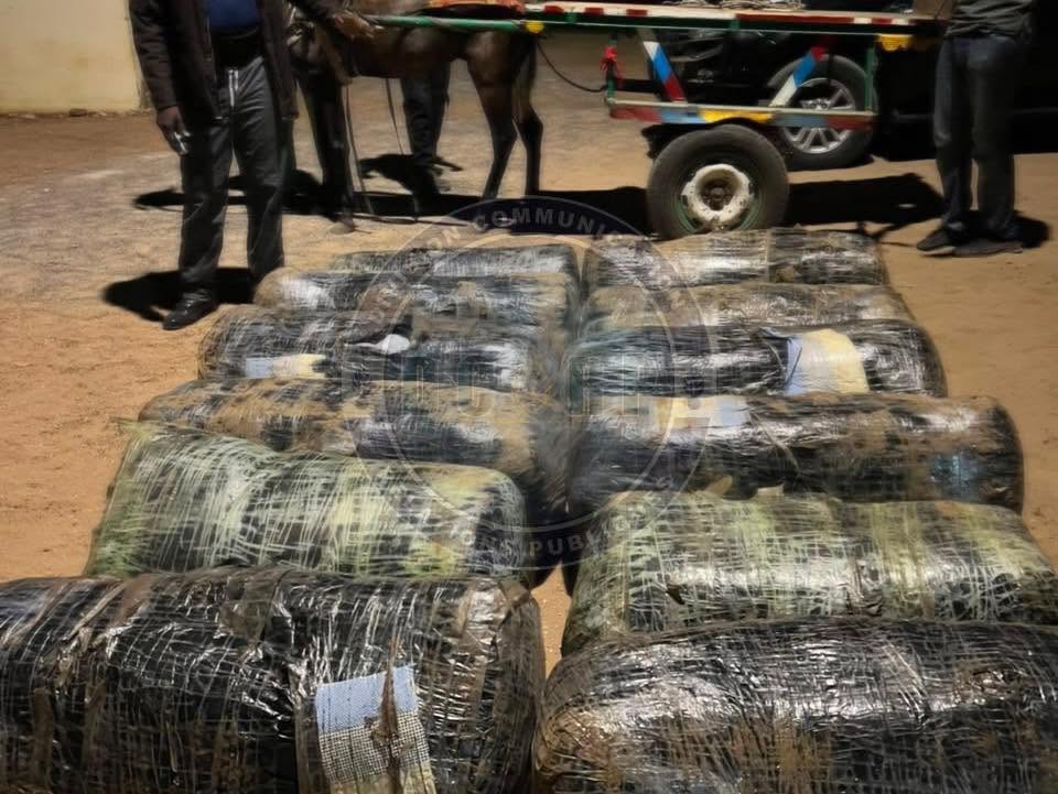 Joal : La gendarmerie intercepte 360 kg de chanvre indien en pleine nuit