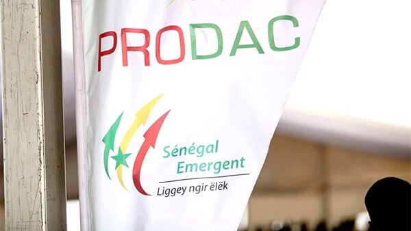 Linguère : quatre employés du Prodac interpellés pour « association de malfaiteurs et vol en réunion »
