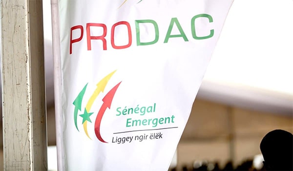Linguère : quatre employés du Prodac interpellés pour « association de malfaiteurs et vol en réunion »