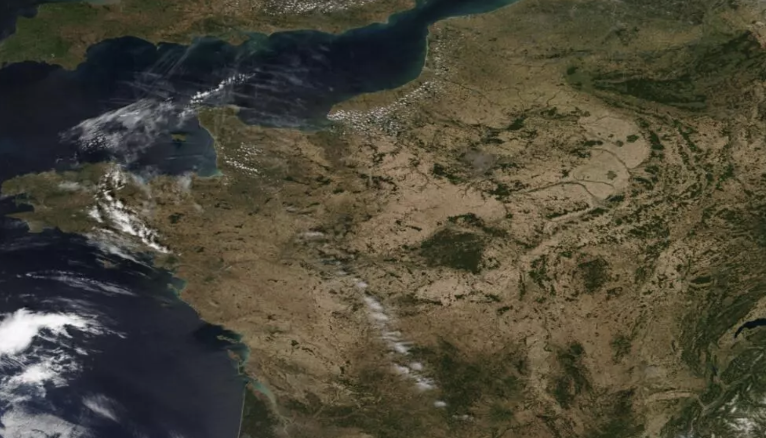 Canicule : En un mois et demi, la France est passée du vert au brun