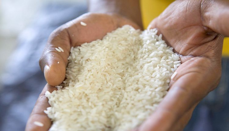 Le gouvernement et les commerçants scellent un pacte pour accélérer l’écoulement du riz local