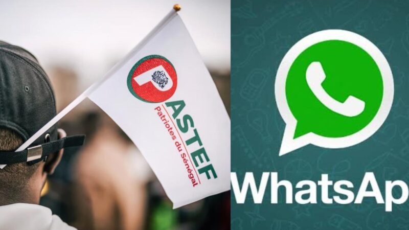 [Billet d&rsquo;humour] Pastef : quand le pouvoir semble se jouer dans les groupes WhatsApp