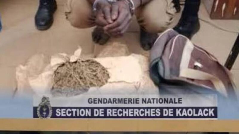 Trafic de drogue : un gendarme et son père arrêtés par la SR de Kaolack, plus de 2 kg saisis