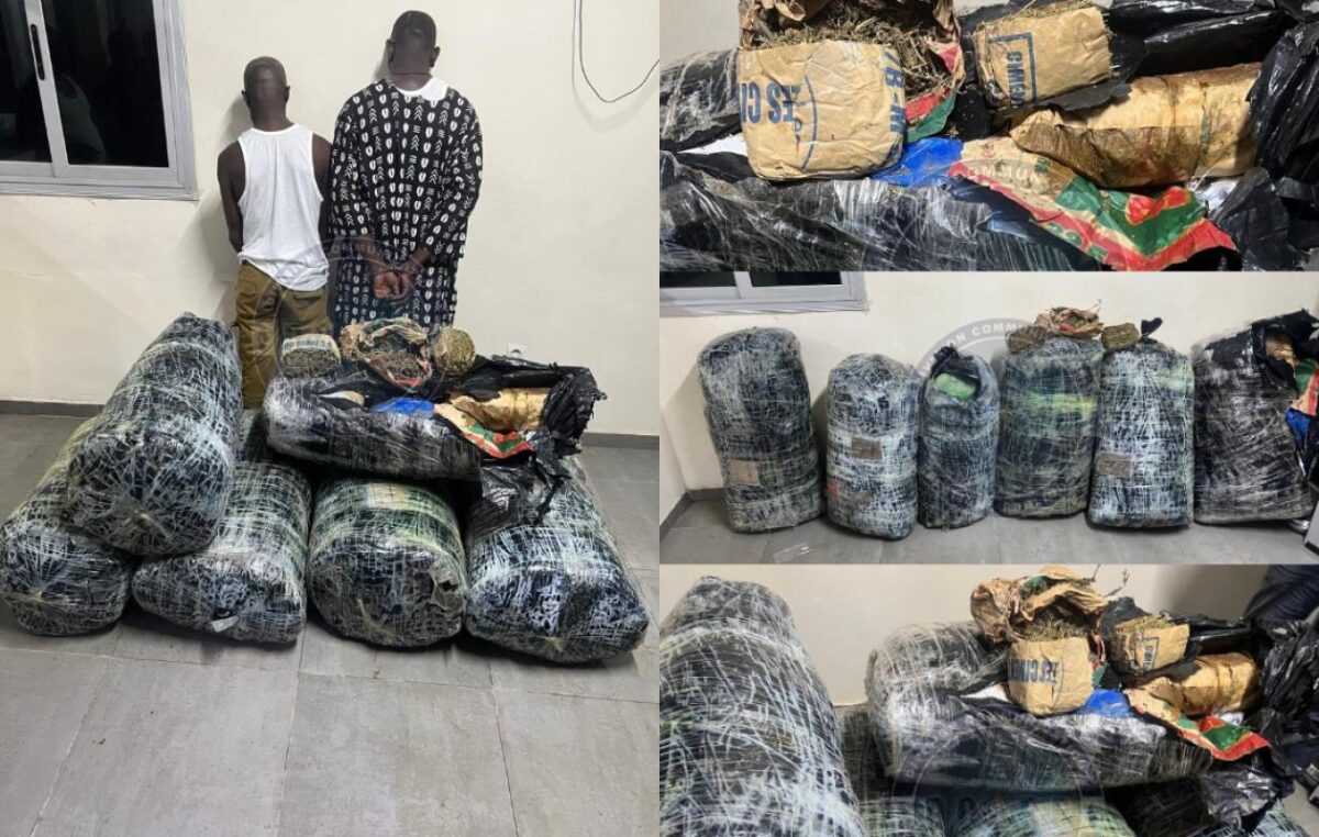 Thiaroye Plus de 300 kg de drogue saisis : deux dealers arrêtés par la BR de Keur Massar