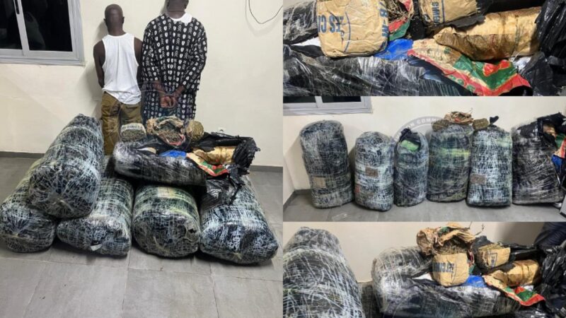 Thiaroye Plus de 300 kg de drogue saisis : deux dealers arrêtés par la BR de Keur Massar
