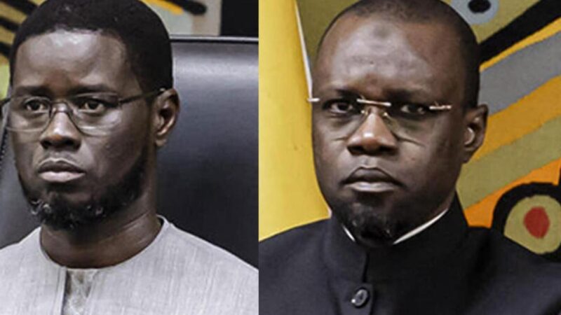 choisir entre Diomaye Faye et Ousmane Sonko : trois ministres au pied du mur
