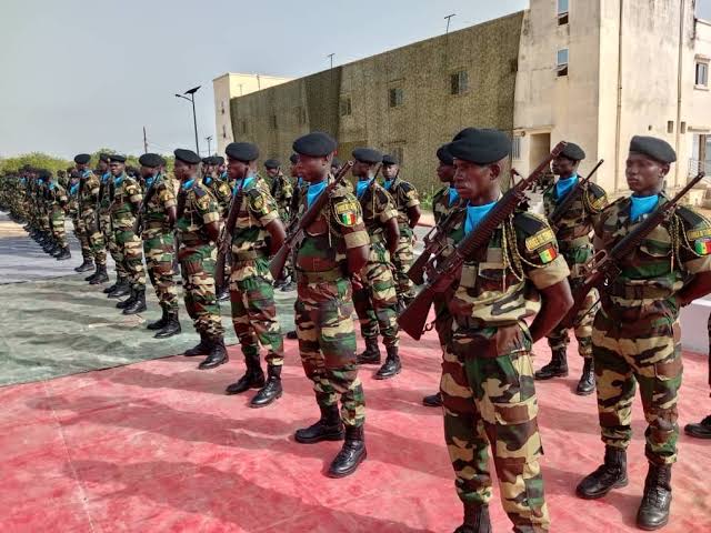 Déclaration de patrimoine : 143 personnes épinglées au ministère des Forces armées par l’Ofnac