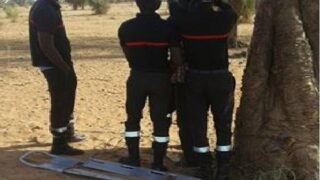 Ndangalma : un jeune homme de 24 ans retrouvé mort pendu à un arbre