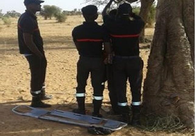 Ndangalma : un jeune homme de 24 ans retrouvé mort pendu à un arbre