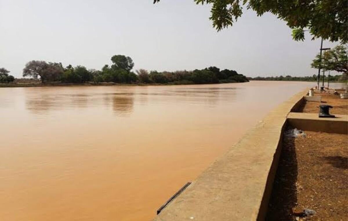 Situation hydrologique du fleuve Sénégal : Une hausse de 8 cm en 24 heures à Podor