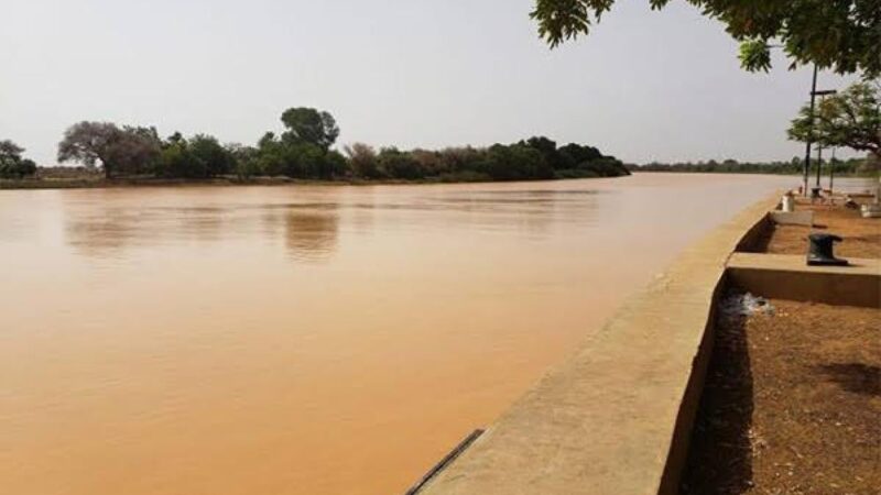 Situation hydrologique du fleuve Sénégal : Une hausse de 8 cm en 24 heures à Podor