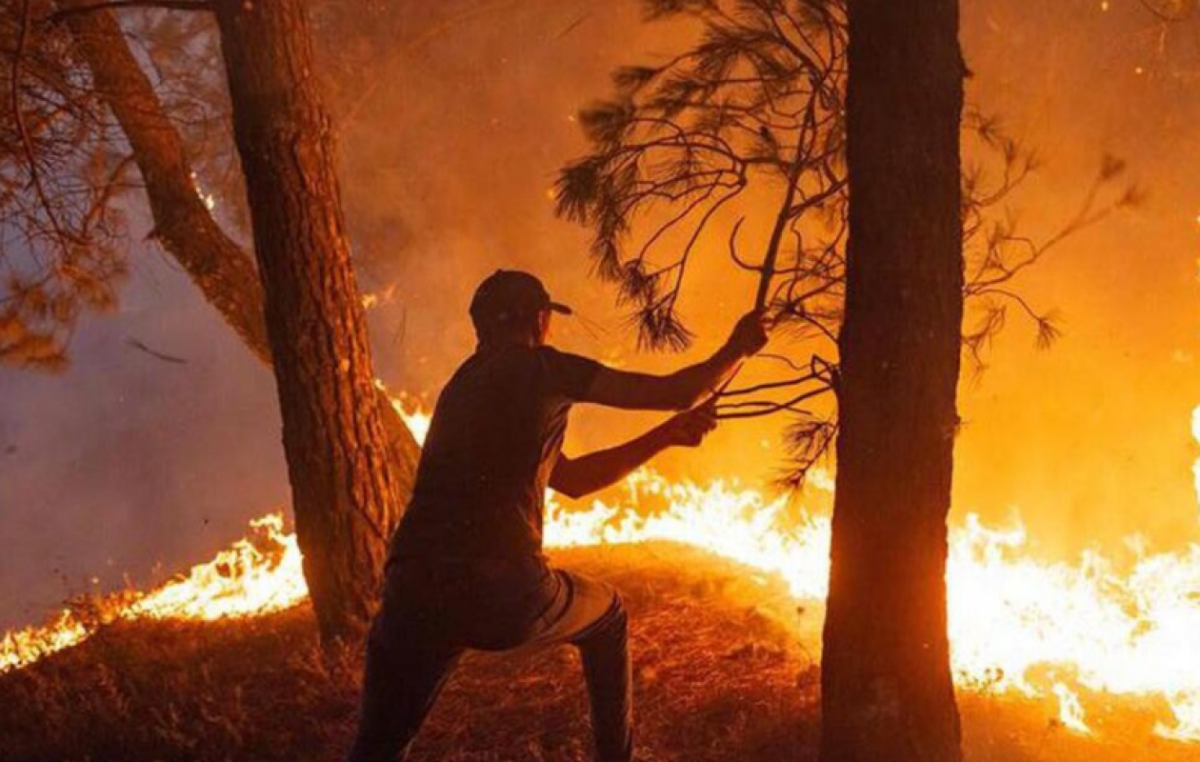 Incendies de forêt en Algérie : Au moins 12 morts et plus de 50 blessés dans le Nord-Est