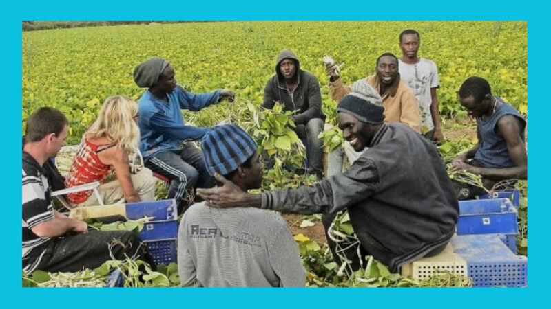 Plus de 200 saisonniers sénégalais s&rsquo;apprêtent à quitter Ségovie après une campagne agricole réussie