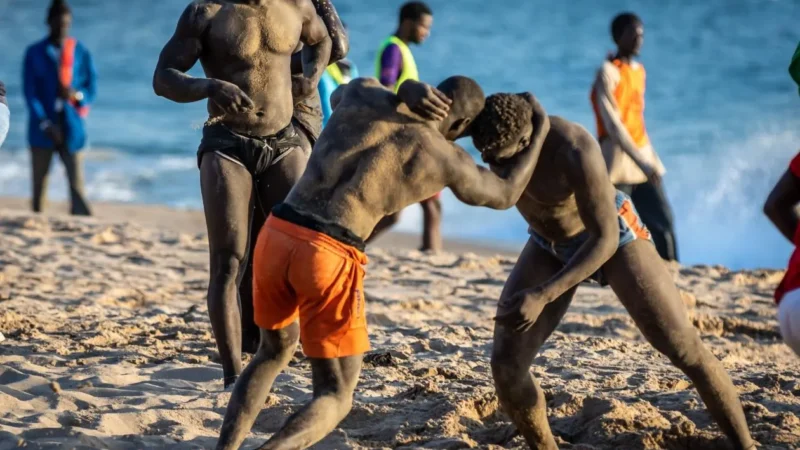 JOJ 2026 : la lutte sénégalaise renforce ses cadres pour relever le défi olympique
