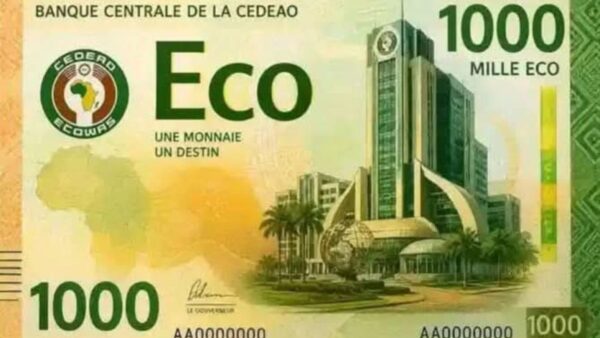 Éco : la CEDEAO accélère le processus vers le lancement de sa monnaie unique