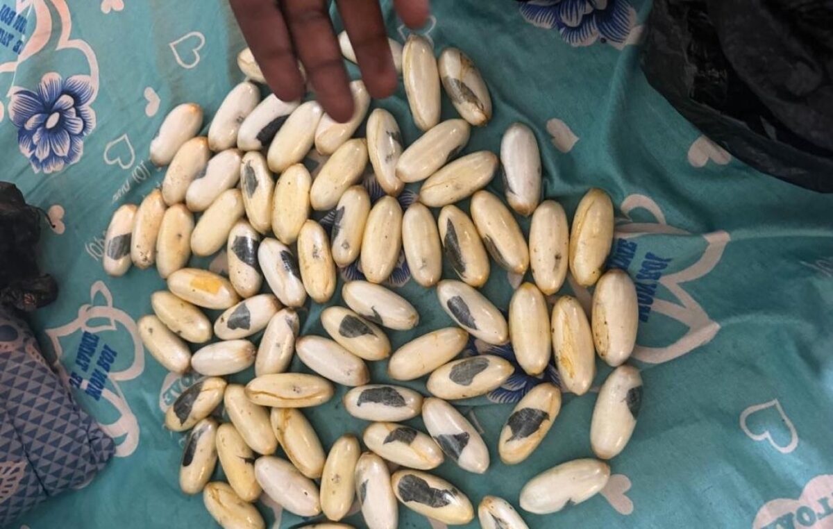 Kédougou : un bus de transport en commun intercepté avec 1,5 kg de cocaïne