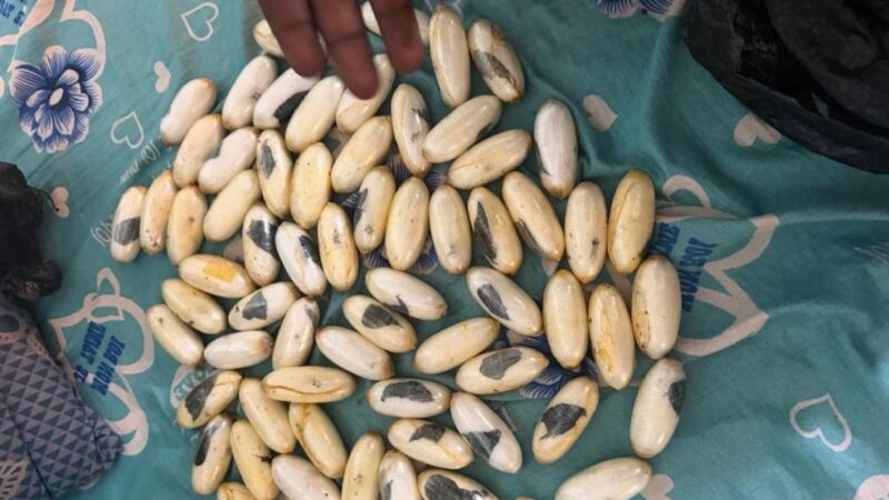 Kédougou : un bus de transport en commun intercepté avec 1,5 kg de cocaïne