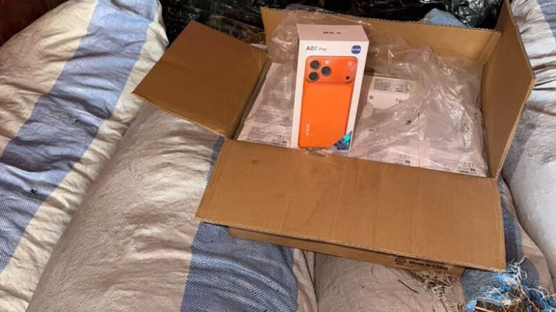 Keur-Ayib : Les Douanes saisissent 3200 téléphones cachés dans un camion de foin