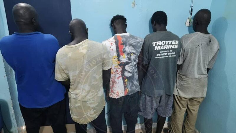 Rosso : Cinq individus arrêtés dans une affaire de vol de bétails