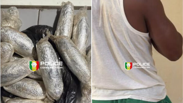 Trafic de cocaïne à la Médina : 225 grammes saisis, un individu interpellé et conduit au parquet