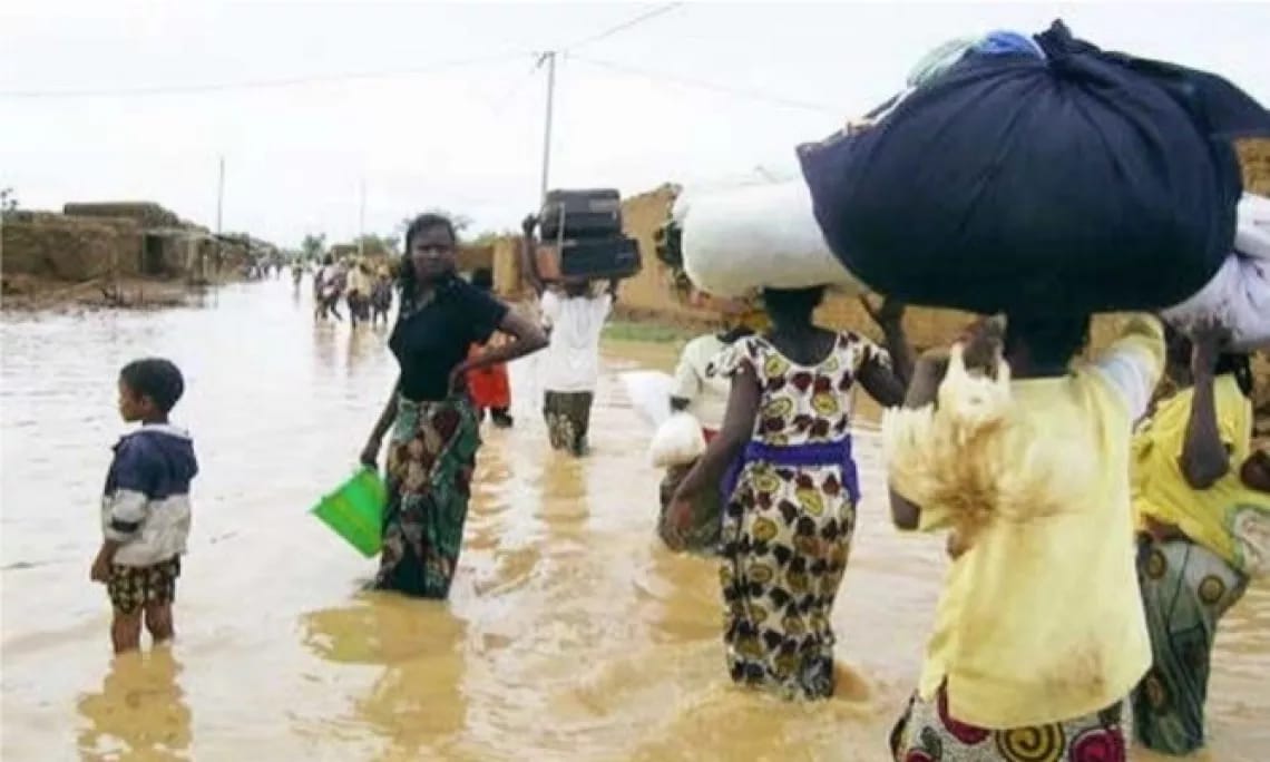 Les pieds dans l&rsquo;eau, pendant que l&rsquo;Assemblée joue la comédie contribution de Kémo Cissé