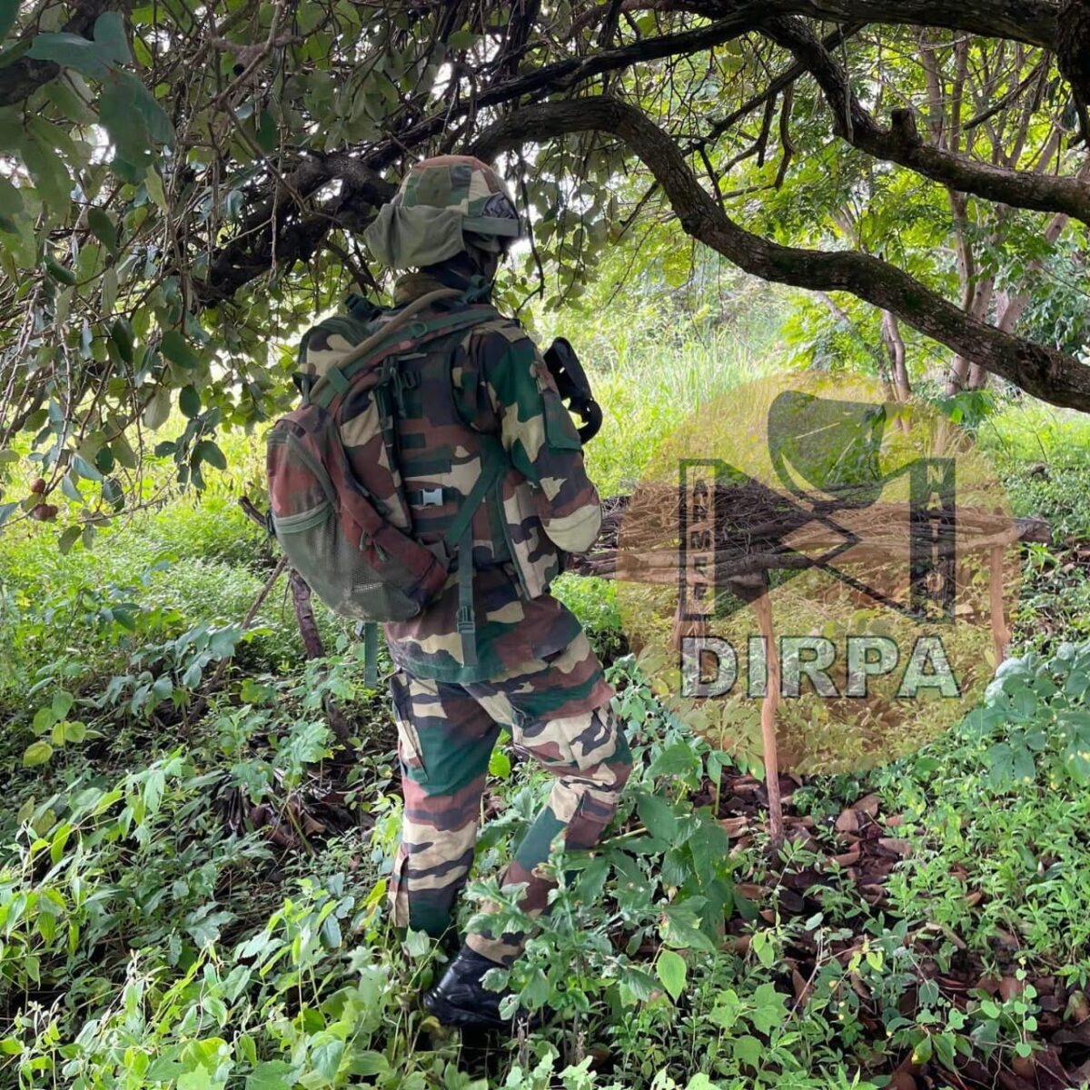 Vaste coup de filet militaire dans l’archipel des Karones : Des plantations de chanvre indien démantelées