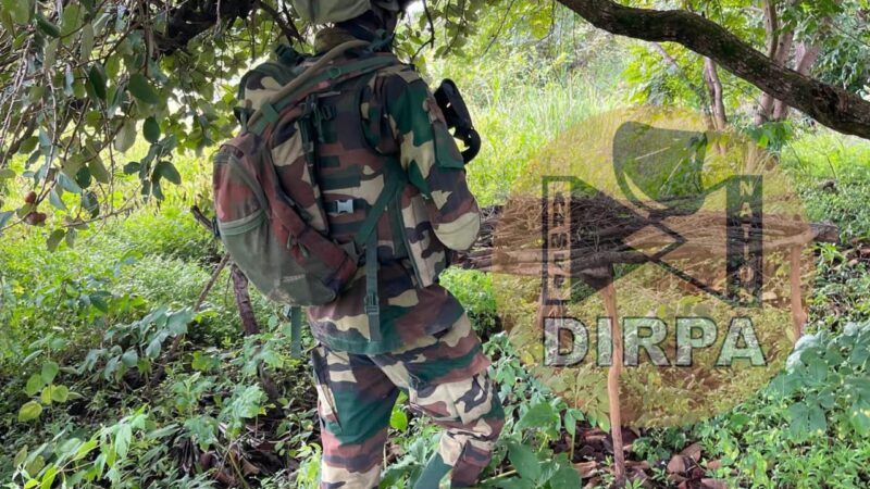 Vaste coup de filet militaire dans l’archipel des Karones : Des plantations de chanvre indien démantelées