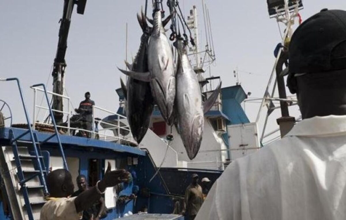 Licences de pêche : la commission d’enquête parlementaire lance ses premières auditions