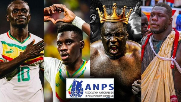 Meilleurs sportifs 2025-2026 : l’ANPS dévoile ses 25 candidats
