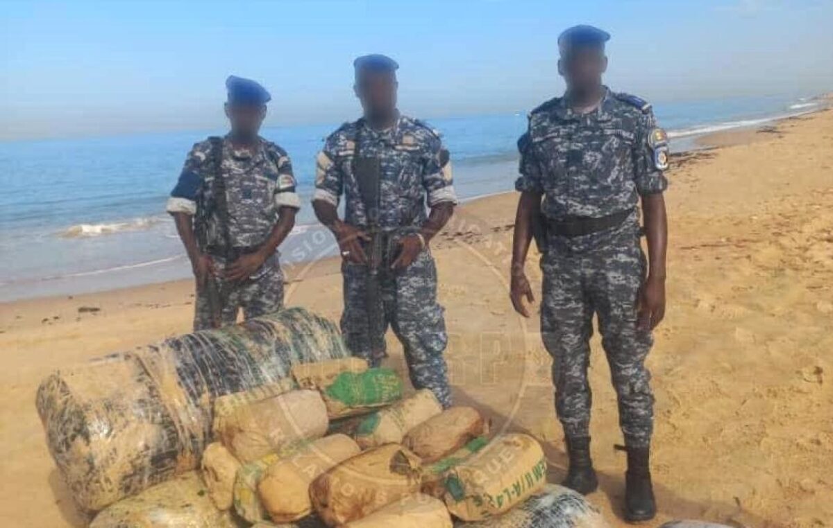 Lutte contre le trafic de drogue : 205 kg de chanvre indien saisis sur la plage de Nianing